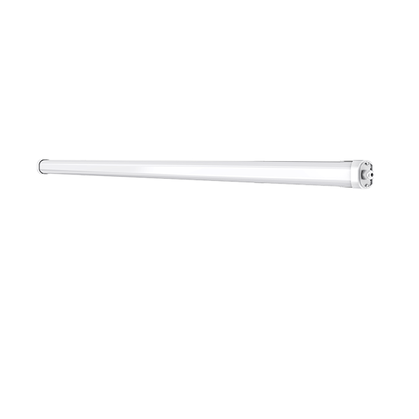 條管燈（集電）